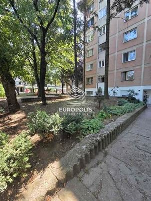 Darinke Radović, Železnik, Čukarica ID#8134