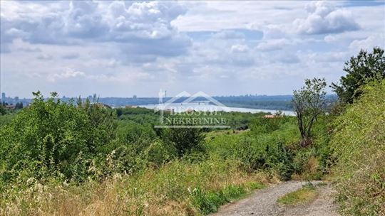 Palilula - Višnjica - 80,64 ara ID#24431