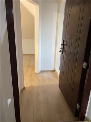 Borca, 1,5 soban, 39 m2 (47 m2), terasa, uknjizen