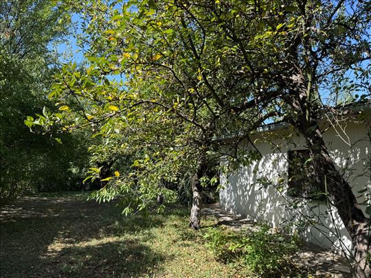 Ralja kod Sopota 62m2 na 29,5 ari