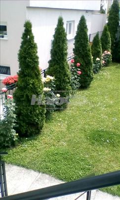 Zemun-Novi grad, Slaviše Vajnera - Geteova