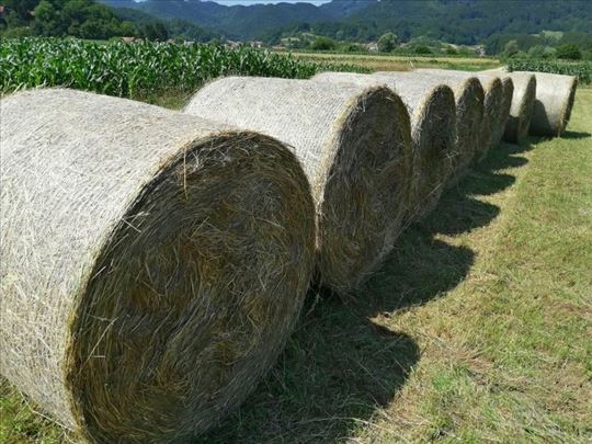 Lucerka 2026