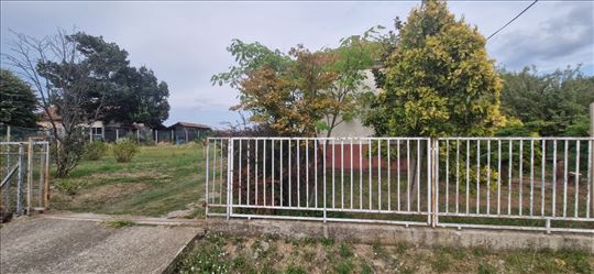Kuca sa plantazom lesnika