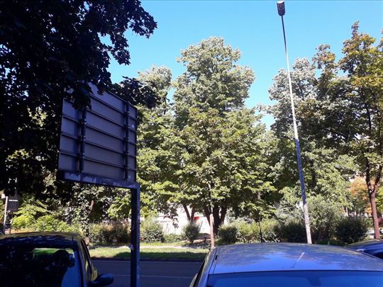 Zemun park, salonac, cg, vpr, terasa