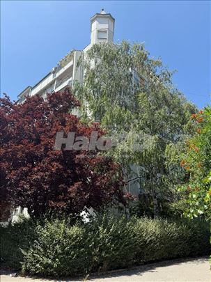 Izdavanje stana