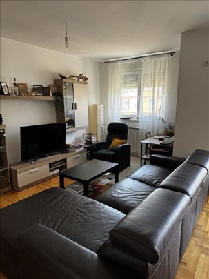 Stepa Stepanović, 83 m2