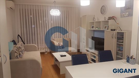 Vračar- Šumatovačka, 30m2, IV, novogradnja