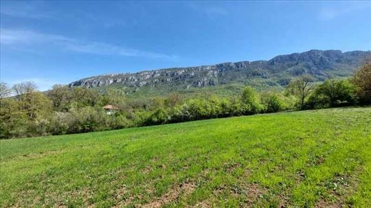 Zaječar - Lasovo  - 5ha 46a 76kvm
