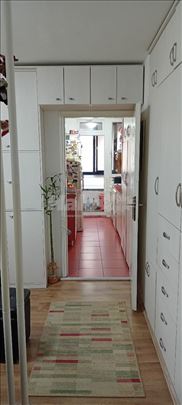 Zemun - Galenika - Svetozara Papića