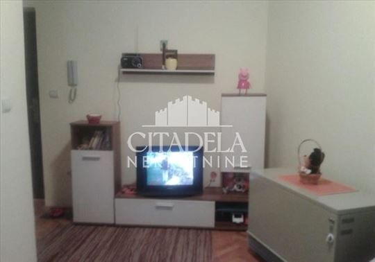 Kneževac - Slavka Rodića ID#2099