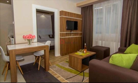 Stylish Apartment in Belgrade Downtown