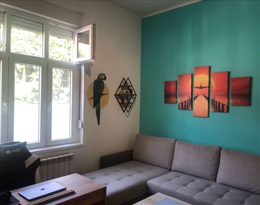 Vracar dvosoban 50m2