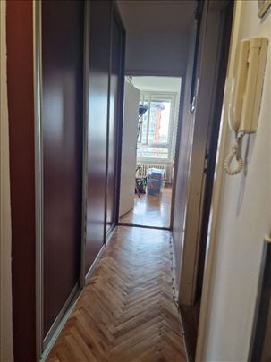 Zemun Galenika 1.5, 45m2+ter