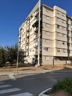 Stepa Stepanović 1.5