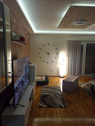 Uknjižen dupleks na Ledinama