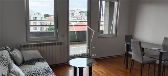 Vračar, lep 2.0 stan, namešten ID#11959