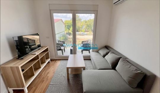 Ledine-Lux ID#43109