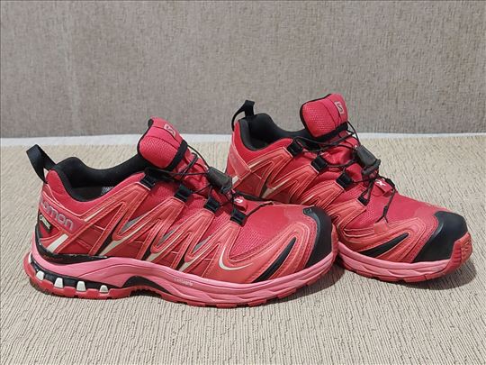 Salomon Gore-Tex patike