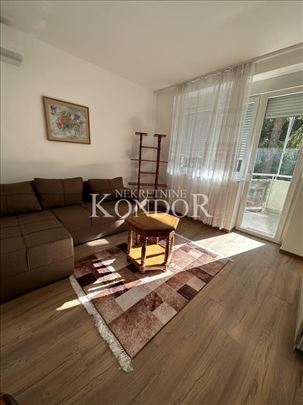 Dedinje, nov, renoviran, namešten 2.0 stan kod Pin