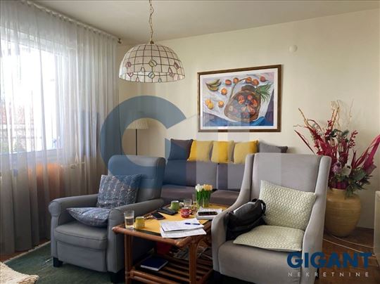 Dorćol-V.Stevana, 77m2, V, cg,                  