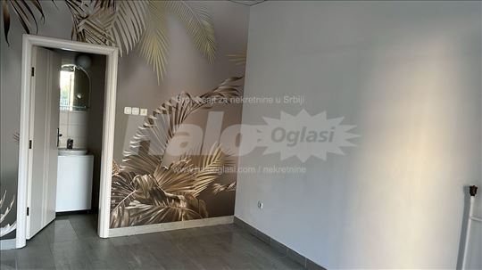 Lokal na odličnoj lokaciji Banovo brdo - Košutnjak