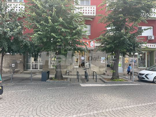Lokal Vračar