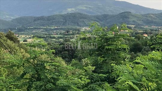 Aranđelovac, Gornja Trešnjevica