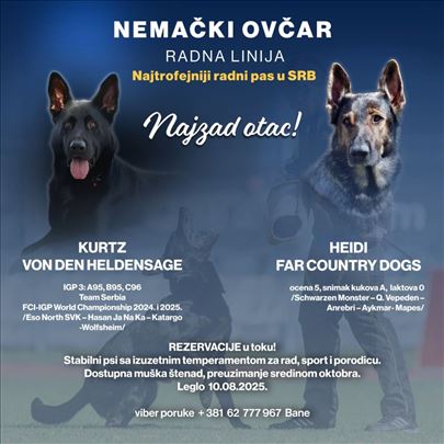 Nemački ovčar - radna linija