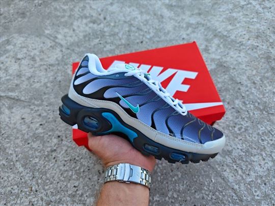 Nike Air Max Plus TN One Block Down Matte Silver