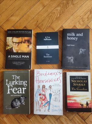 6 knjiga na engleskom - rupi kaur, nicholas sparks