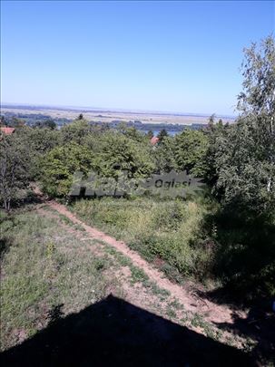 Izdajem zasebnu kucu sa velikim dvoristem