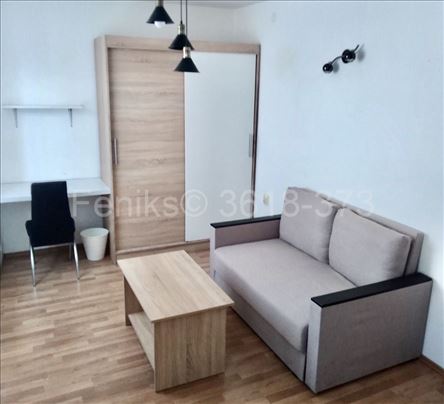 Izdavanje garsonjere, Trg Nikole Pašića