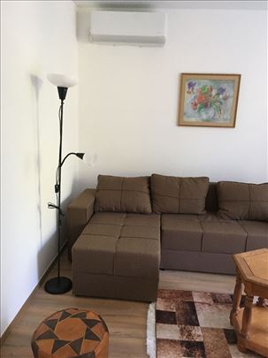 Dedinje lep renoviran 2.0soban ambijent parka