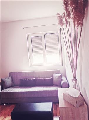 Duplex - 43 kv Krnjača - nije u kuci