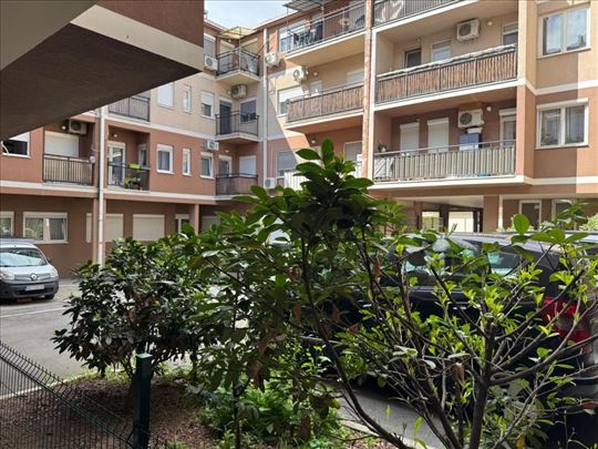 Zemun/2.0/terasa ID#1367
