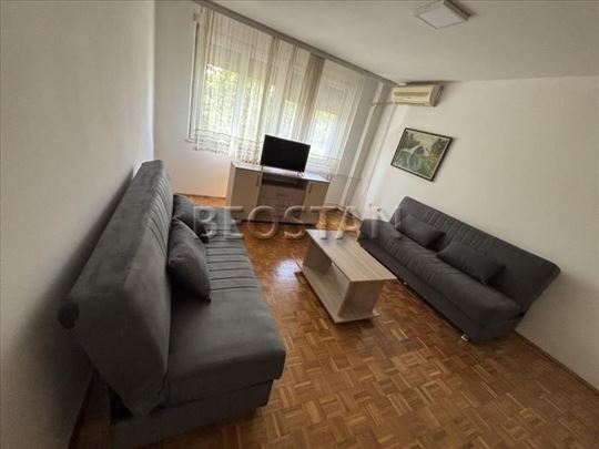 Centar - Lion #64064