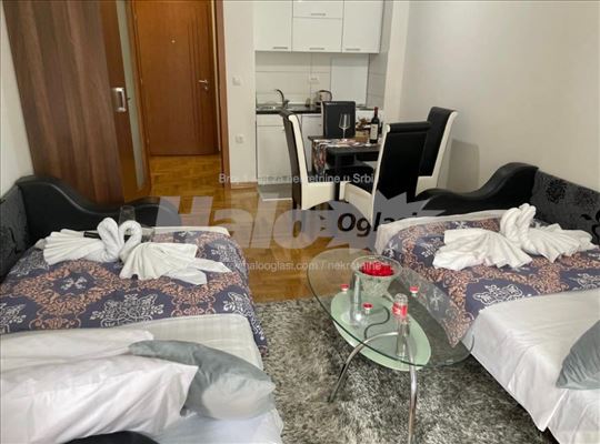 Apartman u centru Vrnjacke Banje 