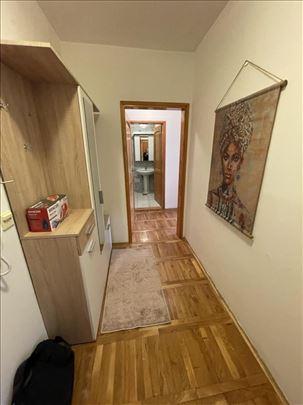 Dvosoban namešten stan u Novosadskog sajma