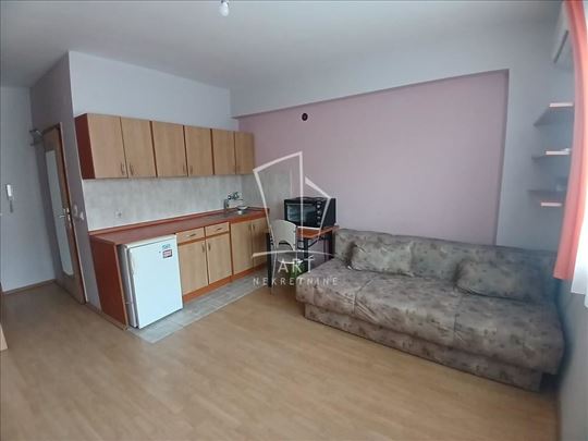 Karaburma, pet friendly, 24m2 ID#12129
