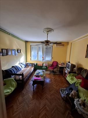 Botanička bašta - 61m2 - Bulevar despota Stefana