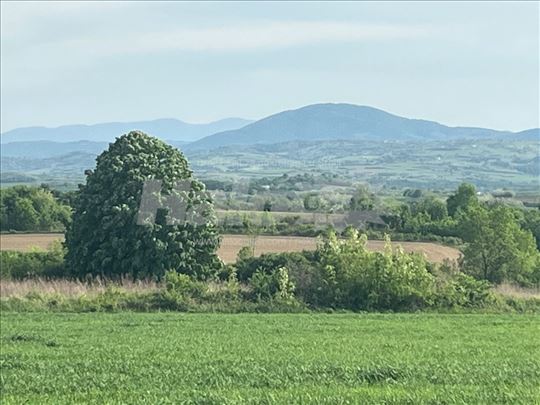Parče raja od Kosmaja. Pogled,pogled,pogled