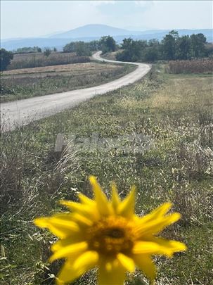 Parče raja od Kosmaja. Pogled,pogled,pogled