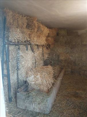 Prodajem ovogodisnju slamu. 150 din komad