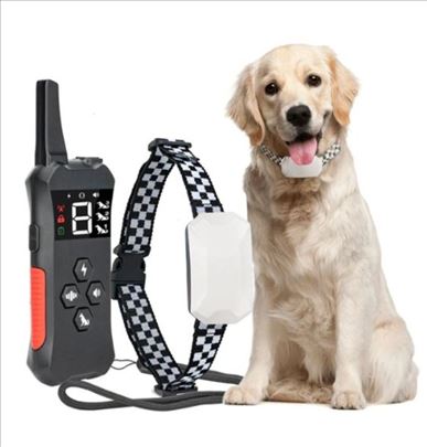 Ogrlica za dresuru 800m  