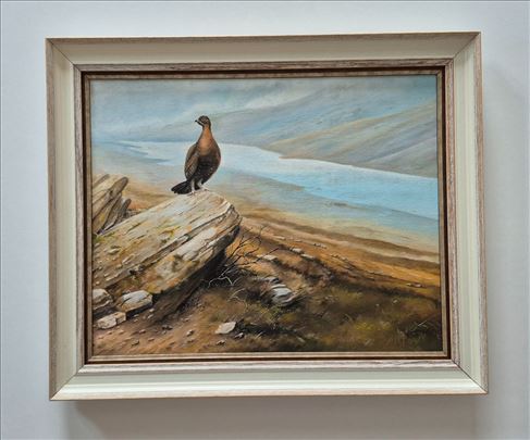 Ulje na platnu - Fazan, prelepa slika!