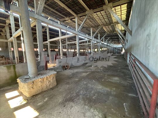 Izdaje se hala od 1000 m2 u blizini Arandjelovca