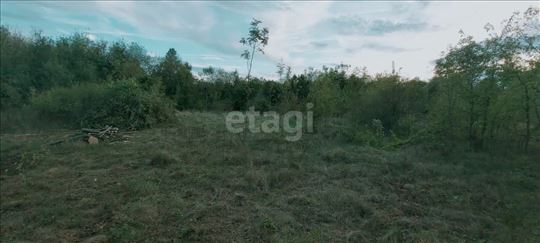 Gradjevinski plac sa šumom ispod Kosmaja