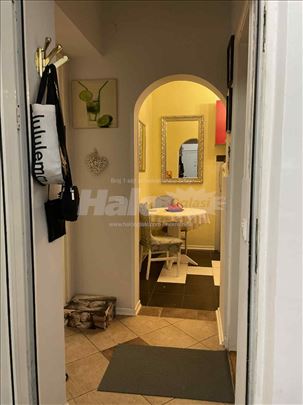 Izdajem stan u Dalmatinskoj ulici, Tašmajdan