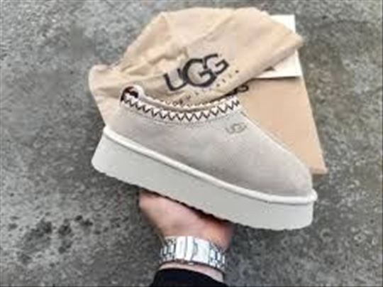 UGG Tazz Slippers White; NOVE UGG Bele Papuče