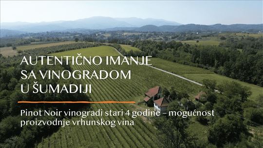 Autenticno imanje sa kućom i vrhunskim vinogradom